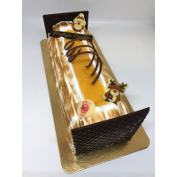 BUCHE ADVOCAAT